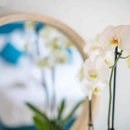 Lengo.d.home Бенитсес