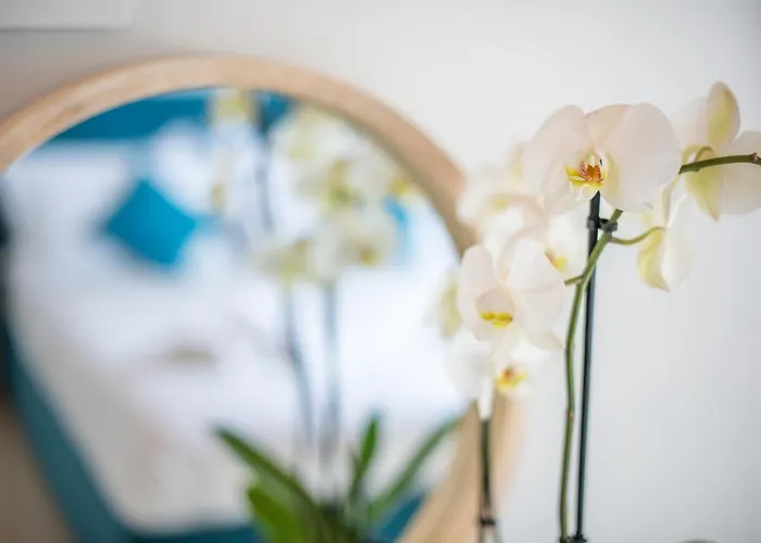 Lengo.d.home Benitses (Corfu)